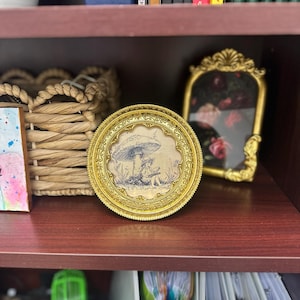 Audrey added a photo of their purchase