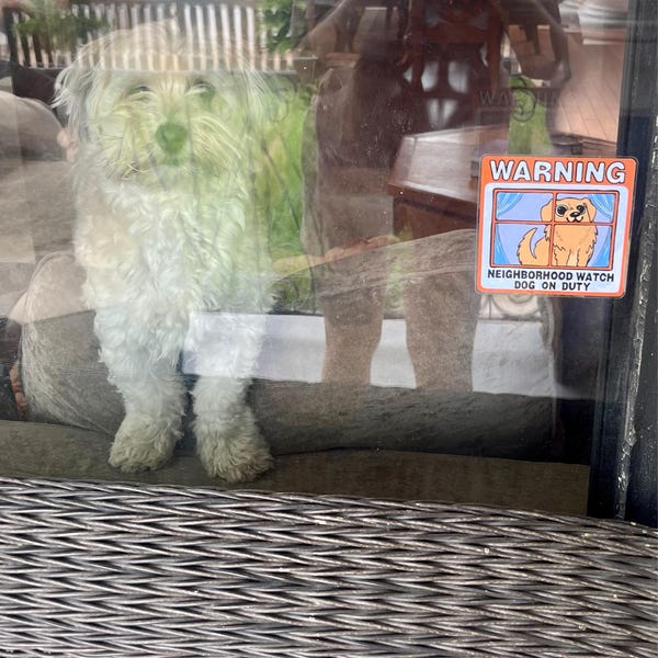 No Soliciting Sign Window Cling Goth (violators Will Be Sacrificed ...