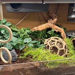 Sage added a photo of their purchase