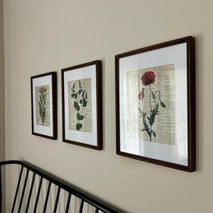 Sarah added a photo of their purchase