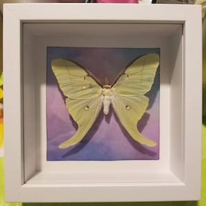 Kerri added a photo of their purchase