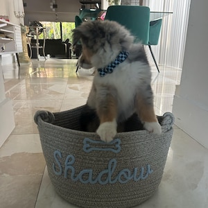 Hannah added a photo of their purchase