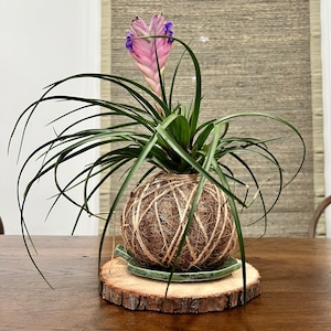 Cindy added a photo of their purchase