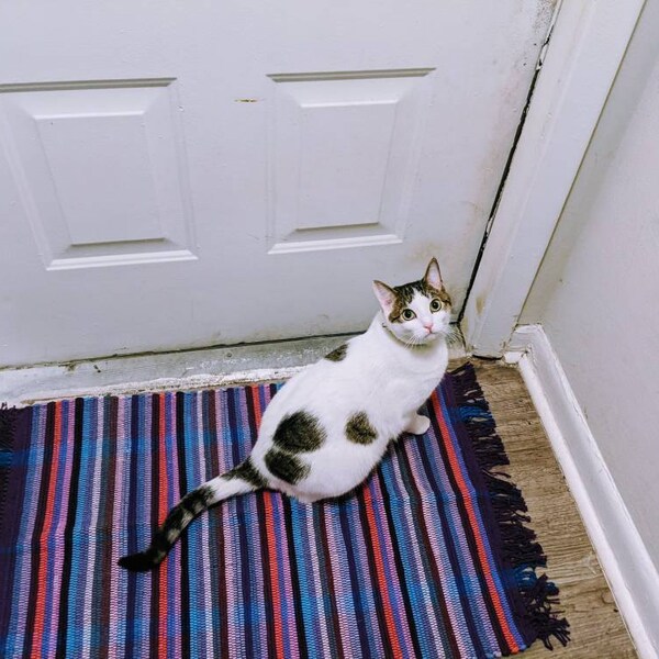 Handwoven Machine Washable Rag Rug Placemats in Warm Rust, Grey, and ...