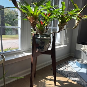 Anne added a photo of their purchase