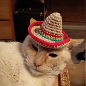 Cat Sombrero Crochet Pattern Crochet 