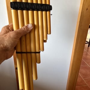 Pieter added a photo of their purchase