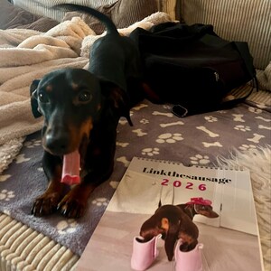 Anna hat ein Foto des gekauften Artikels hinzugefügt