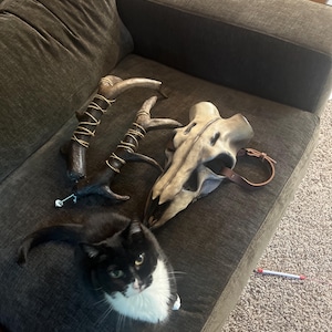 Lisa added a photo of their purchase