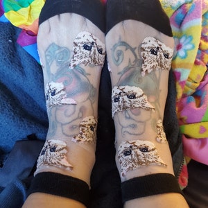 Lisa added a photo of their purchase