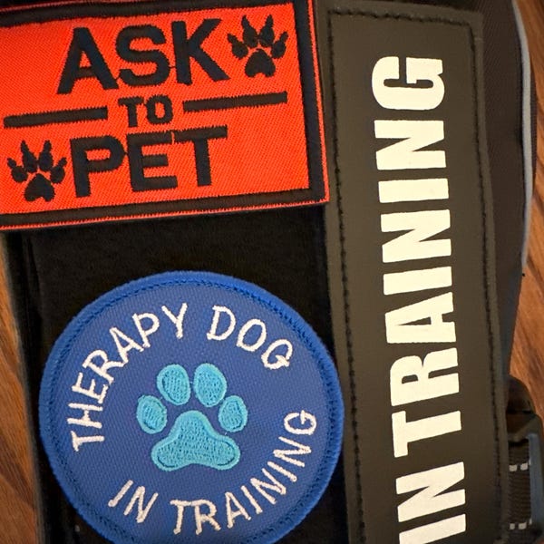 Sequin Star Patch, Black Gold Star Patch, Embroidered Star Patches Iron ...