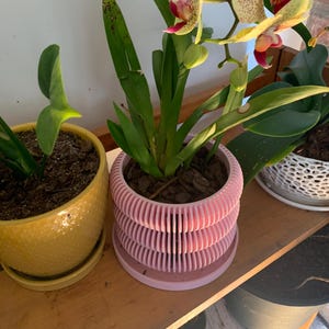 Isaac added a photo of their purchase