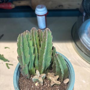 Cheri added a photo of their purchase
