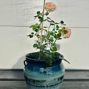 sandy added a photo of their purchase