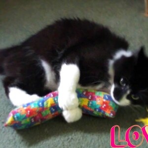 Janice added a photo of their purchase