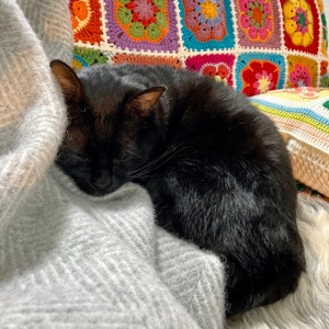 Rika added a photo of their purchase
