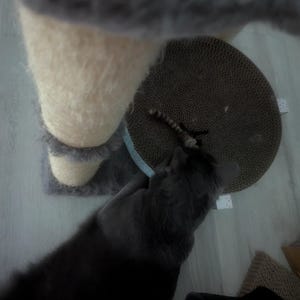 Laresa dodał(a) zdjęcie swoich zakupów