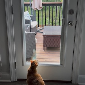 Carol added a photo of their purchase