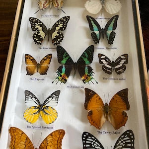 Chloe heeft een foto van zijn/haar aankoop toegevoegd