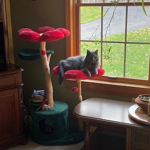 Jodi added a photo of their purchase