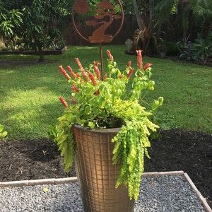 Deirdre added a photo of their purchase