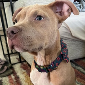 polka dot bow tie and suspenders