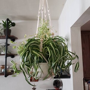 Cuenta inactiva ha añadido una foto de su compra