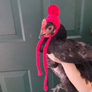 Chicken Hat With Ties - Etsy