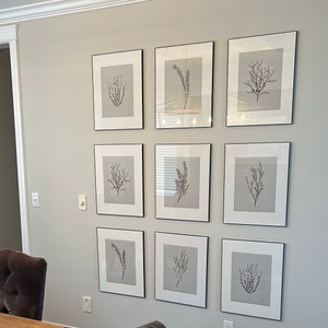 Lesley added a photo of their purchase