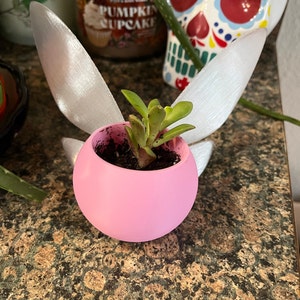 Lilybell ha añadido una foto de su compra