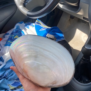 Golden Shell Clutch