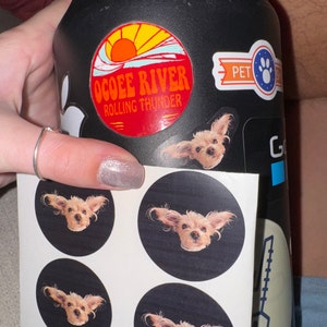 Masey added a photo of their purchase
