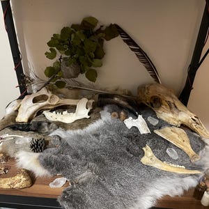 Eva added a photo of their purchase