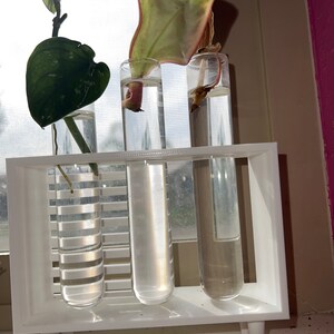 Zara added a photo of their purchase