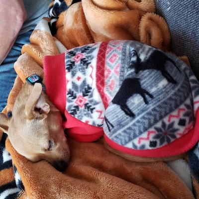 SALE Two Small Breed Dog Fleece Sweater, Small Breed Dog Sweatshirt ...