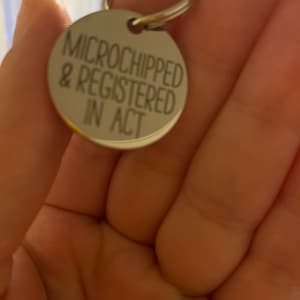 Etsy buyer added a photo of their purchase
