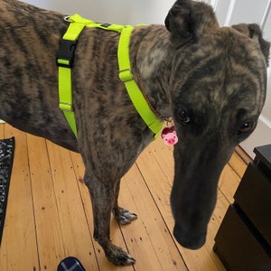 Leoni added a photo of their purchase