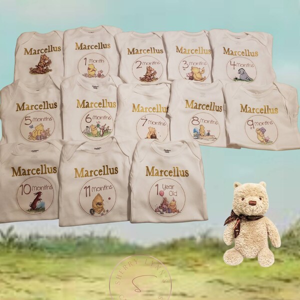 Baby Monthly Stickers - Winnie the Pooh Vintage Classic - Iron on ...