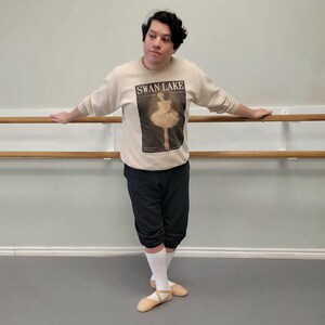 Swan Lake Shirt and Sweatshirt Swan Lake Ballet Gift Swan Lake