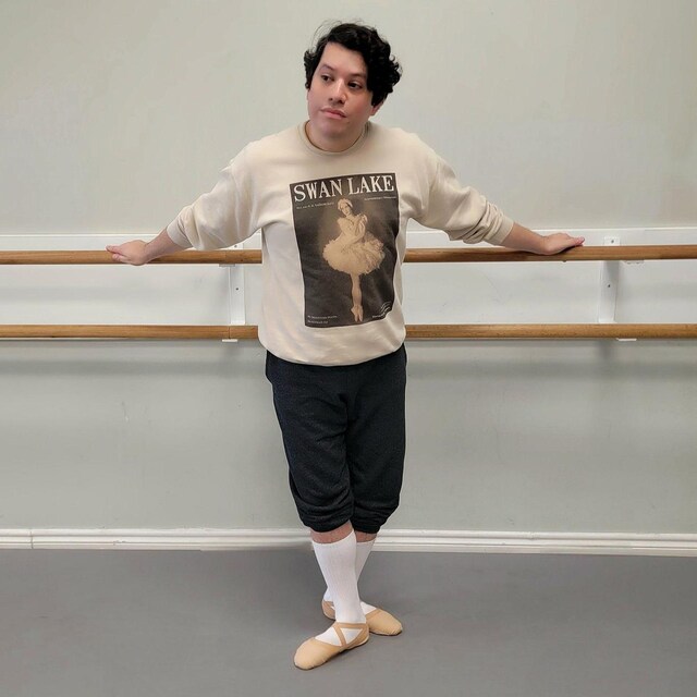 Swan Lake Shirt and Sweatshirt Swan Lake Ballet Gift Swan Lake