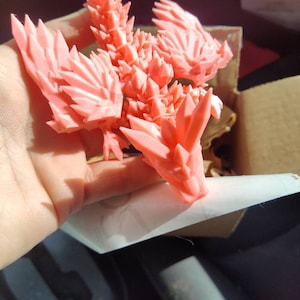 Lynda added a photo of their purchase