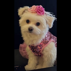 Sheree added a photo of their purchase