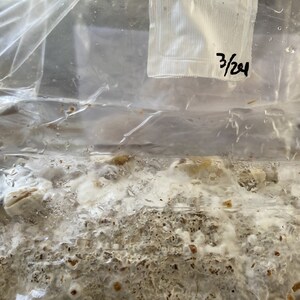 Qun ha añadido una foto de su compra