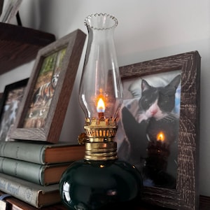 carly added a photo of their purchase