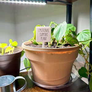 Brent ha añadido una foto de su compra