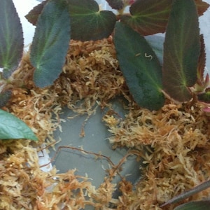 sheri ha añadido una foto de su compra