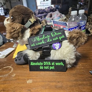 Eurydice added a photo of their purchase