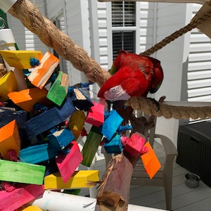 Carmen added a photo of their purchase