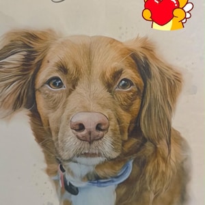 Brandi hat ein Foto des gekauften Artikels hinzugefügt