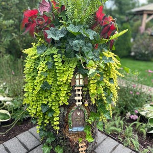 Joann ha añadido una foto de su compra